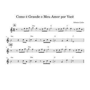 Como é Grande o Meu Amor por Você - Roberto Carlos ( Lead Sheet PDF )