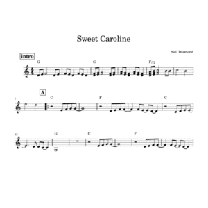 Sweet Caroline - Neil Diamond ( Lead Sheet PDF )